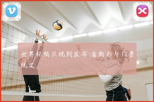 世界杯购买规则发布 含购彩与门票规定